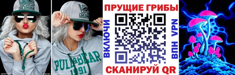 Псилоцибиновые грибы Psilocybine cubensis  Лахденпохья 